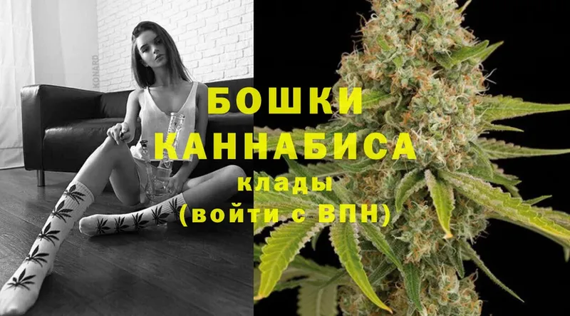 Каннабис индика  Рыльск 